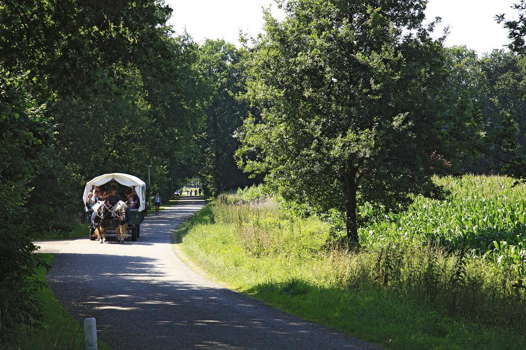 Hotel De Lindenberg Holten Zewnętrze zdjęcie