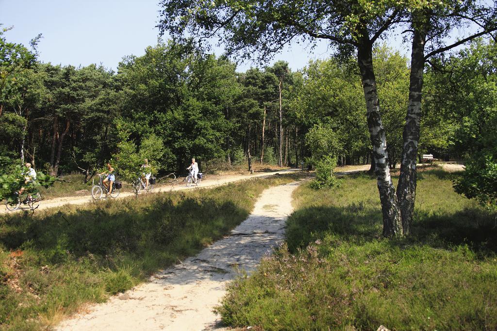 Hotel De Lindenberg Holten Zewnętrze zdjęcie